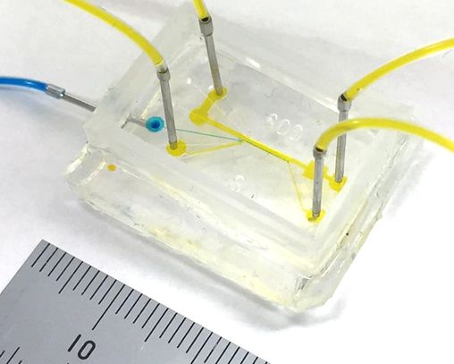 Microfluidic device for selective peeling of high-migration cancer cells