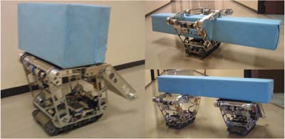 Parallel Mechanism Mobile Robots