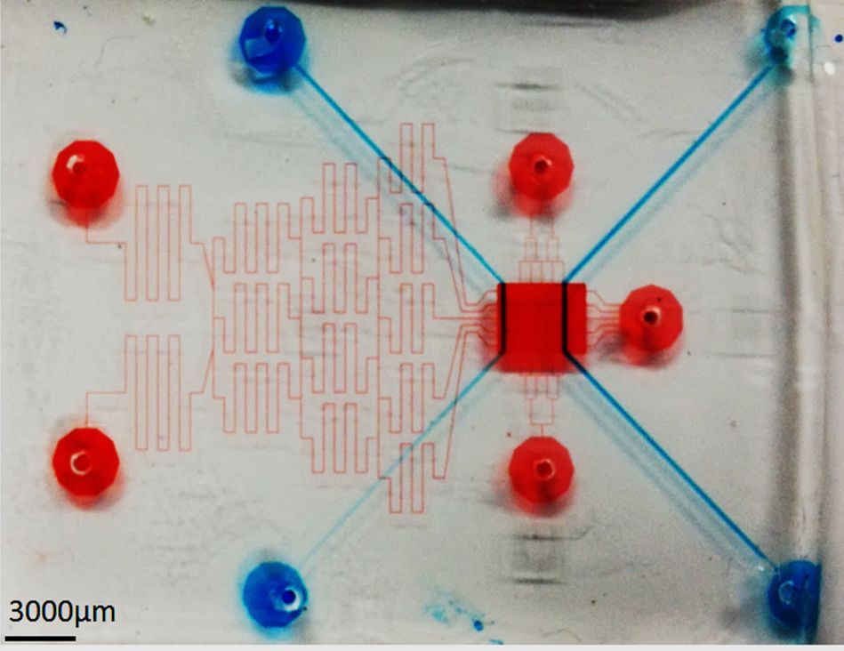 Microfluidic Concentration Gradation Generators